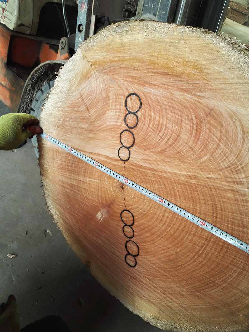 Plastic 8 Ring for Preventing Wood Log Cracking